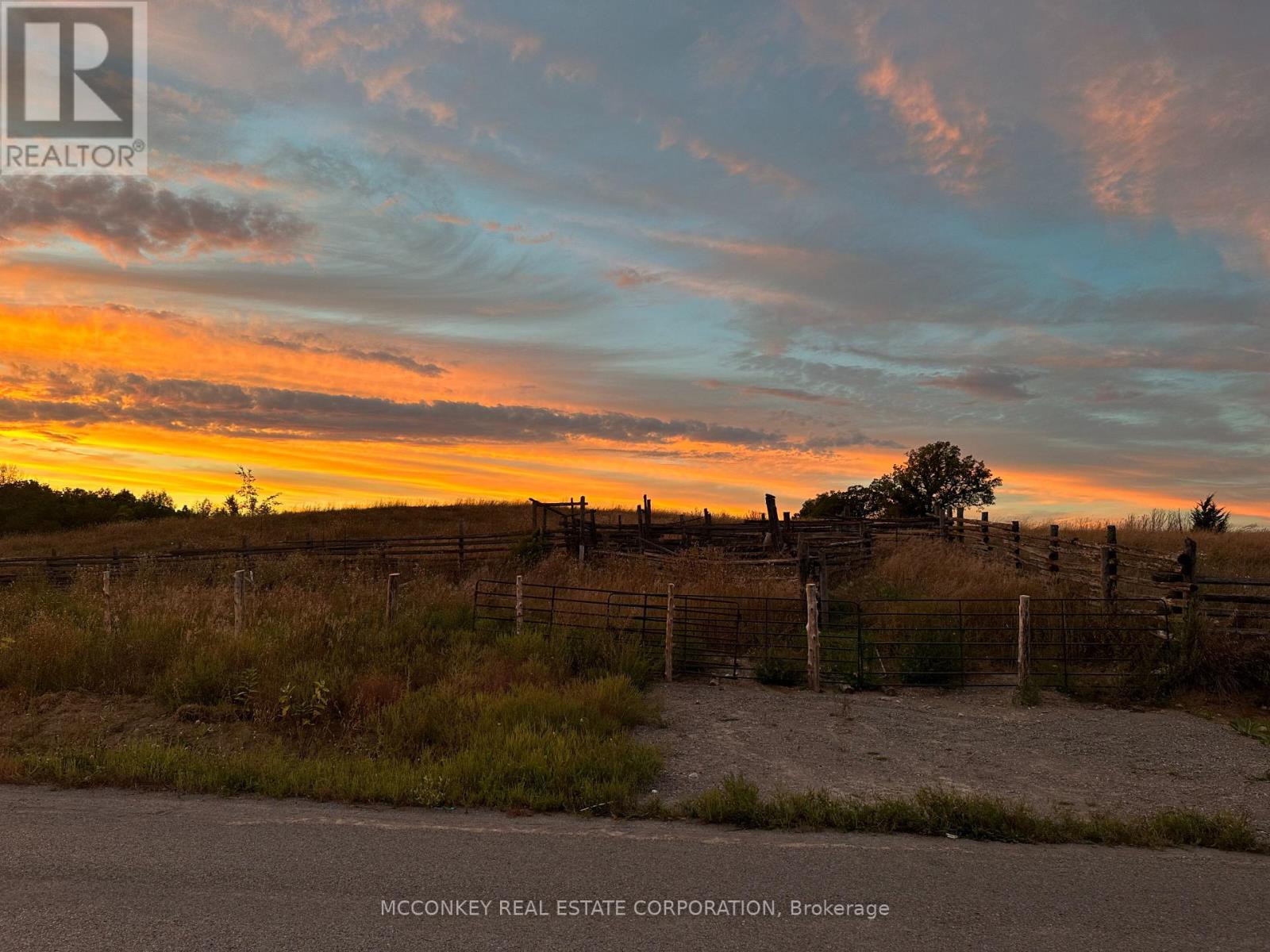 252 Concession Road 13 E, Trent Hills, Ontario  K0L 1Y0 - Photo 10 - X12839268