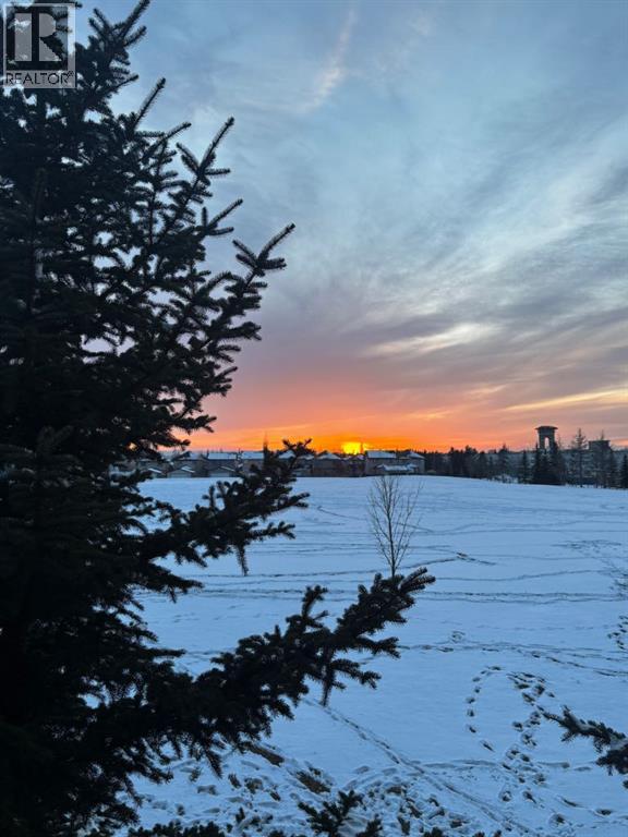 3216, 115 Prestwick Villas SE, Calgary, Alberta  T2Z 4P4 - Photo 22 - A2297663