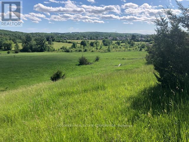 251 Concession Rd 13 E, Trent Hills, Ontario  K0L 1Y0 - Photo 19 - X12839258