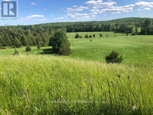 251 Concession Rd 13 E, Trent Hills, Ontario  K0L 1Y0 - Photo 21 - X12839258
