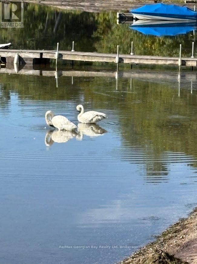 1230 Grandview Lodg Road, Severn, Ontario P0E 1N0 - Photo 35 - S12957428