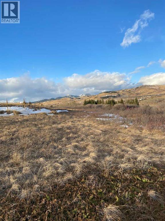 6 Rustler's Ridge, Rural Pincher Creek No. 9, Alberta  T0K 1W0 - Photo 19 - A2299073