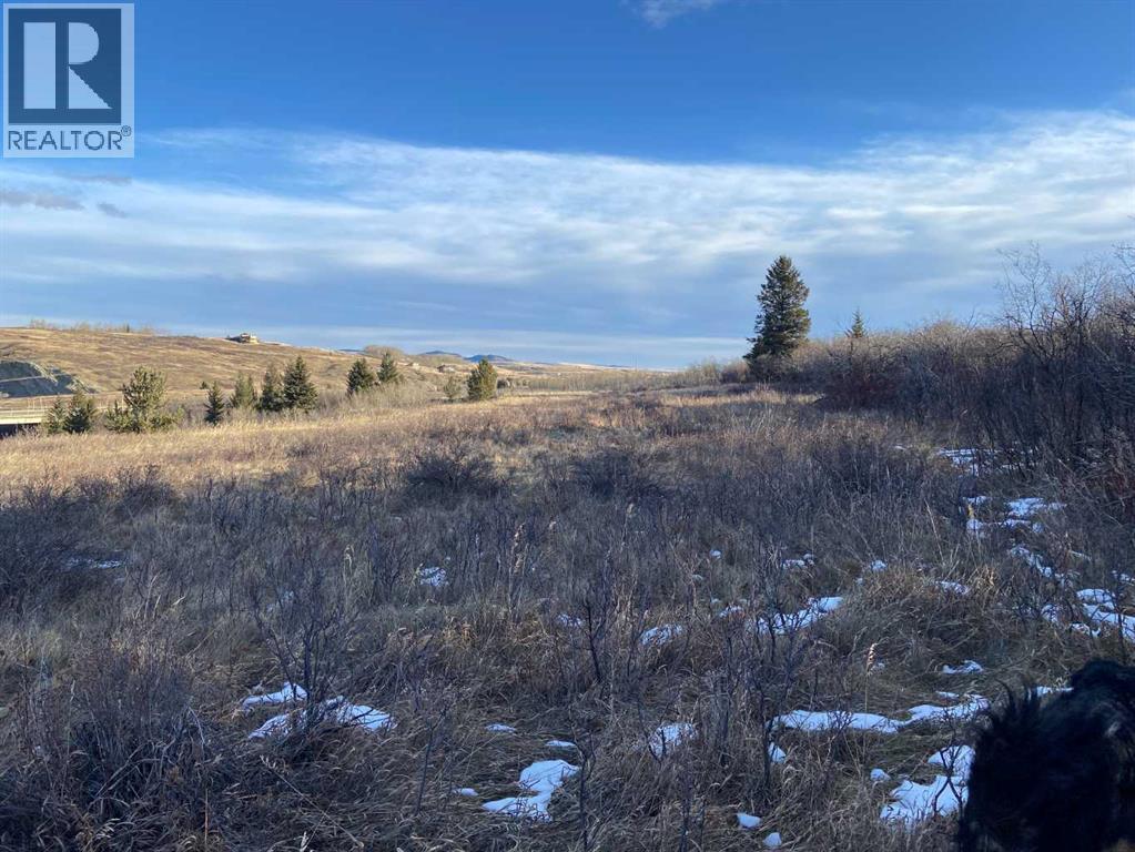 6 Rustler's Ridge, Rural Pincher Creek No. 9, Alberta  T0K 1W0 - Photo 14 - A2299073