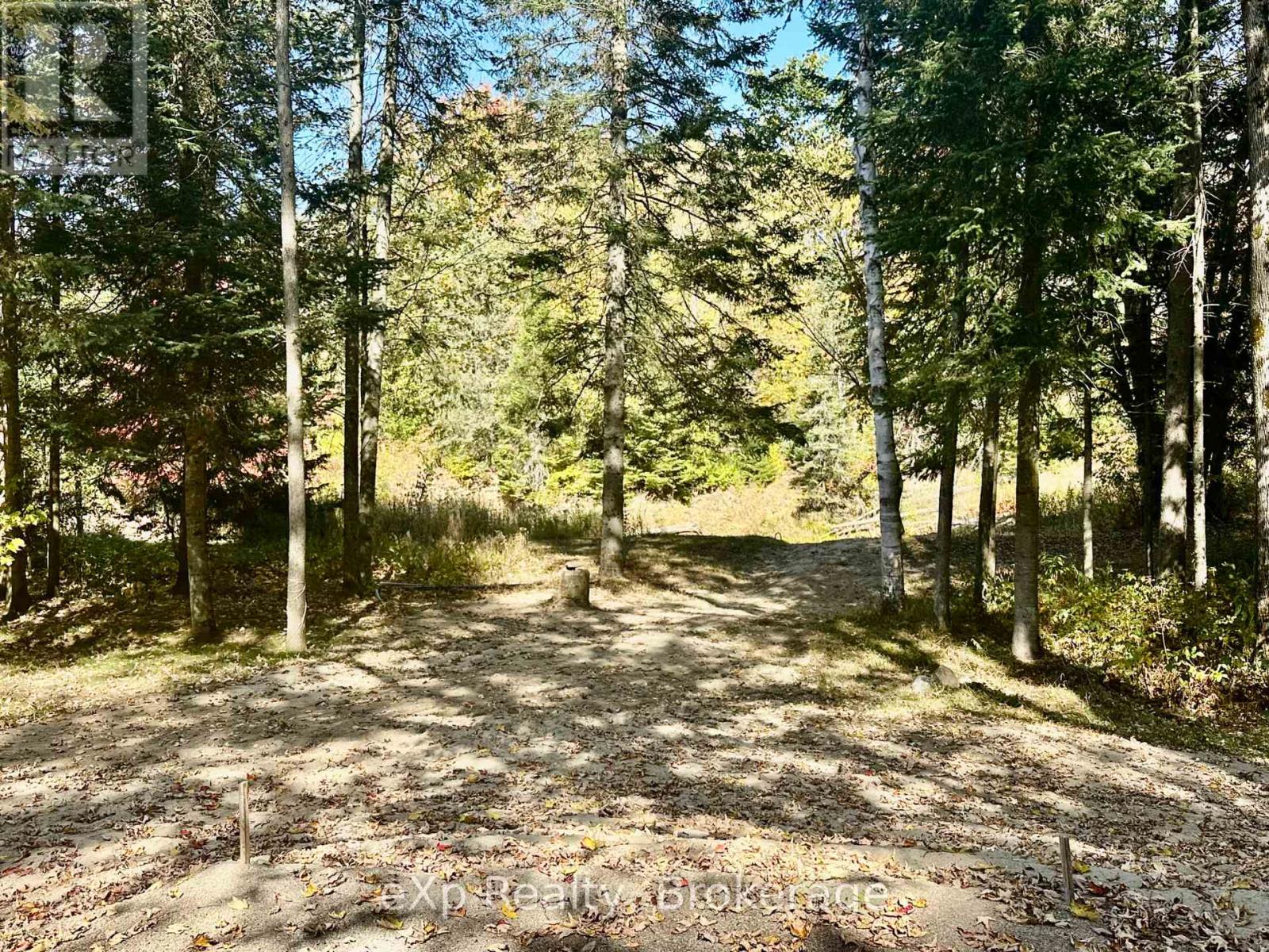 61 Robert Road W, Huntsville, Ontario P1H 1L4 - Photo 5 - X12936846