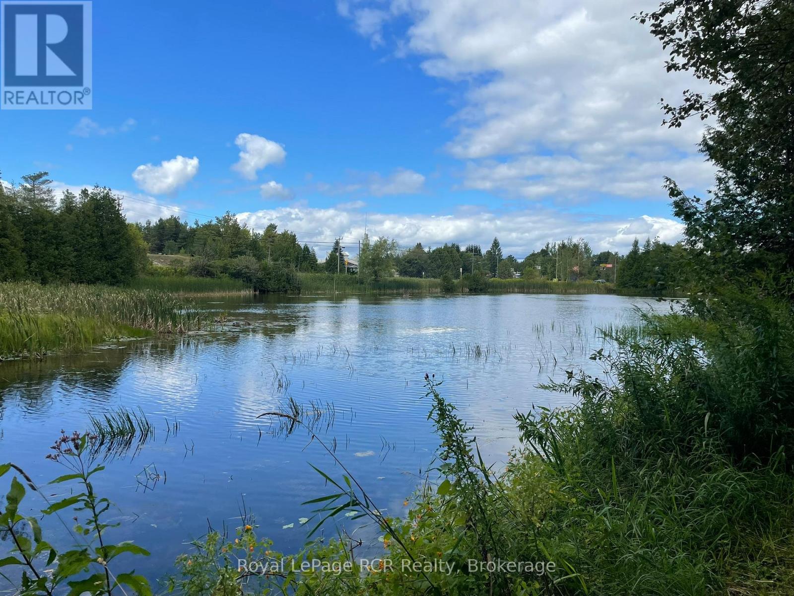 121 Collingwood Street, Grey Highlands, Ontario  N0C 1E0 - Photo 33 - X12891550