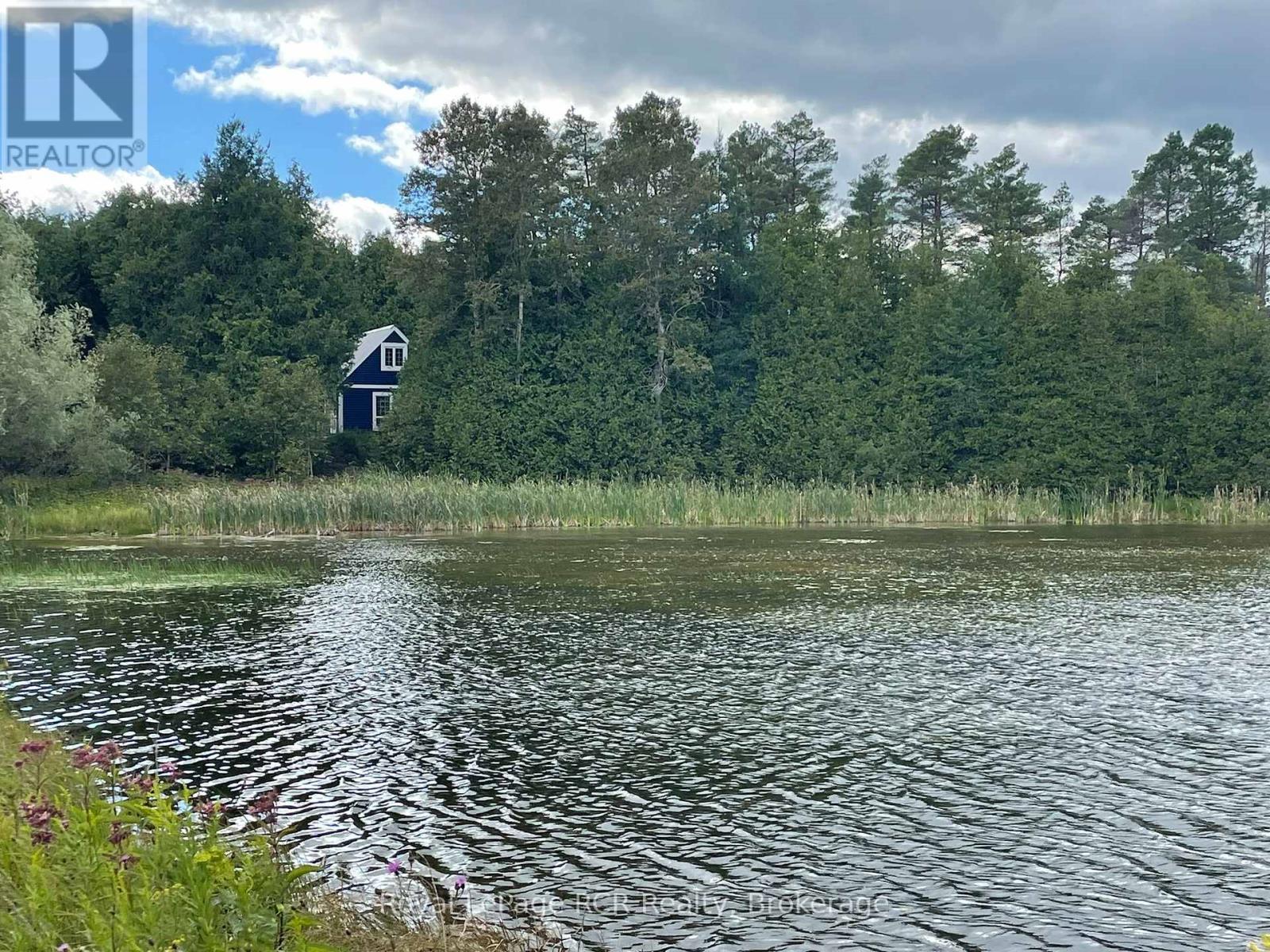 121 Collingwood Street, Grey Highlands, Ontario  N0C 1E0 - Photo 37 - X12891550