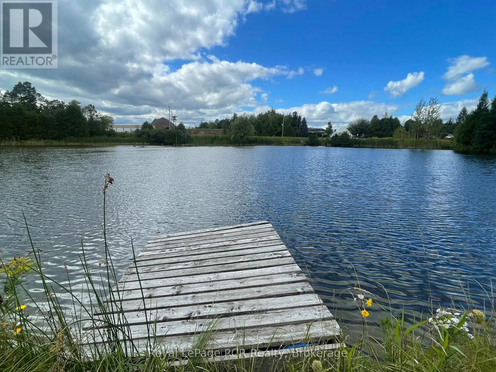 121 Collingwood Street, Grey Highlands, Ontario  N0C 1E0 - Photo 35 - X12891550