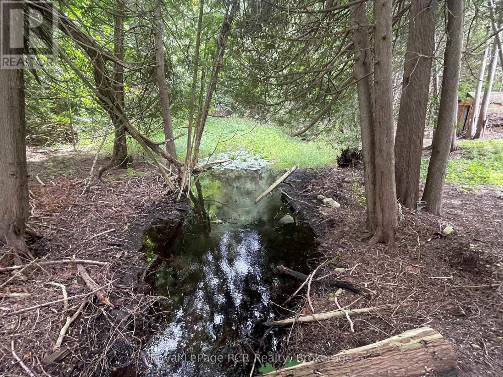 121 Collingwood Street, Grey Highlands, Ontario  N0C 1E0 - Photo 32 - X12891550