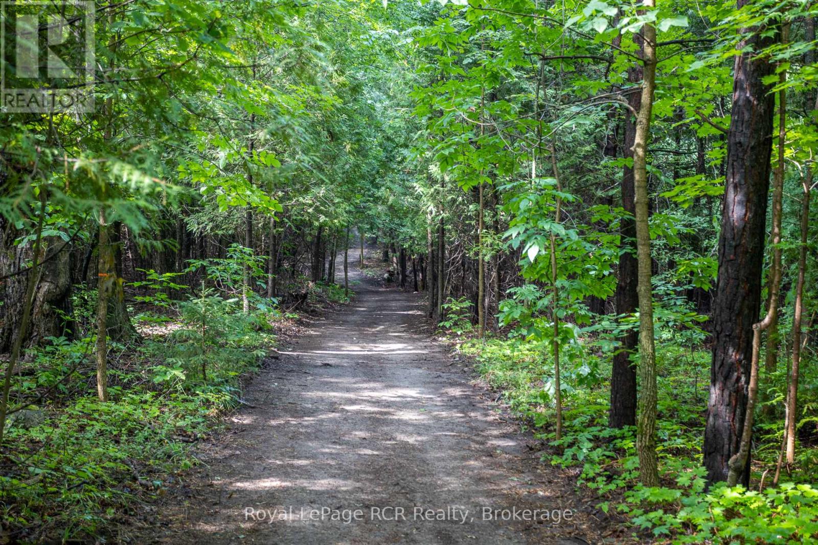 121 Collingwood Street, Grey Highlands, Ontario  N0C 1E0 - Photo 40 - X12891550