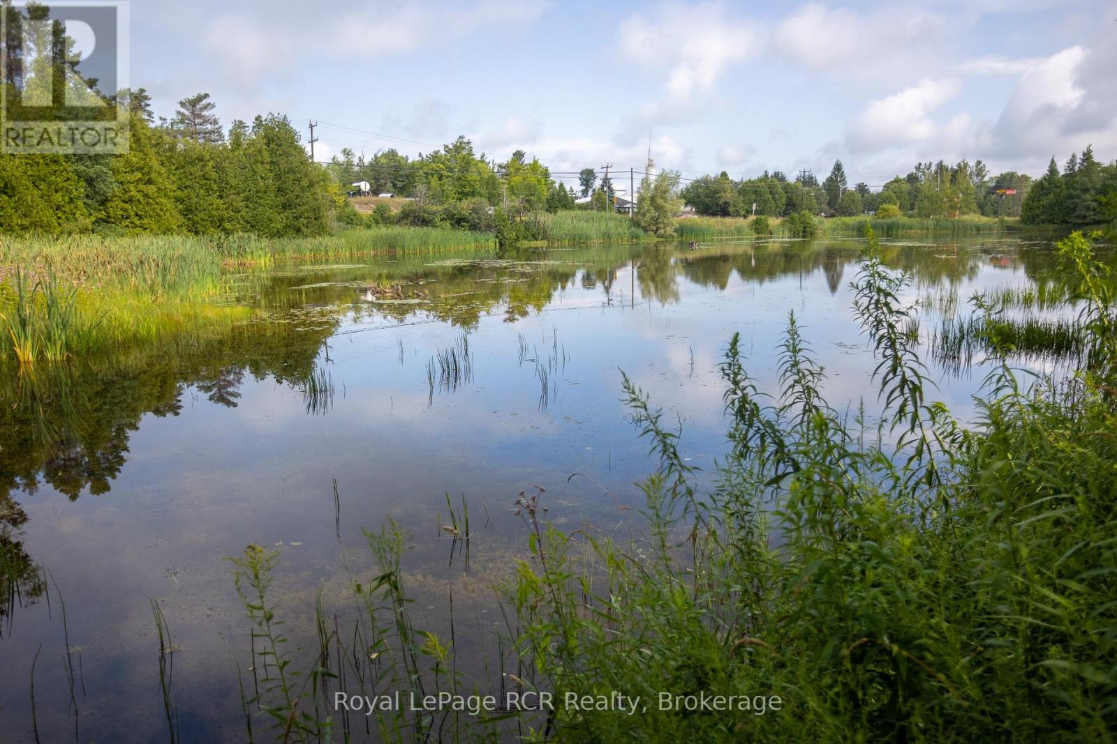 121 Collingwood Street, Grey Highlands, Ontario  N0C 1E0 - Photo 41 - X12891550