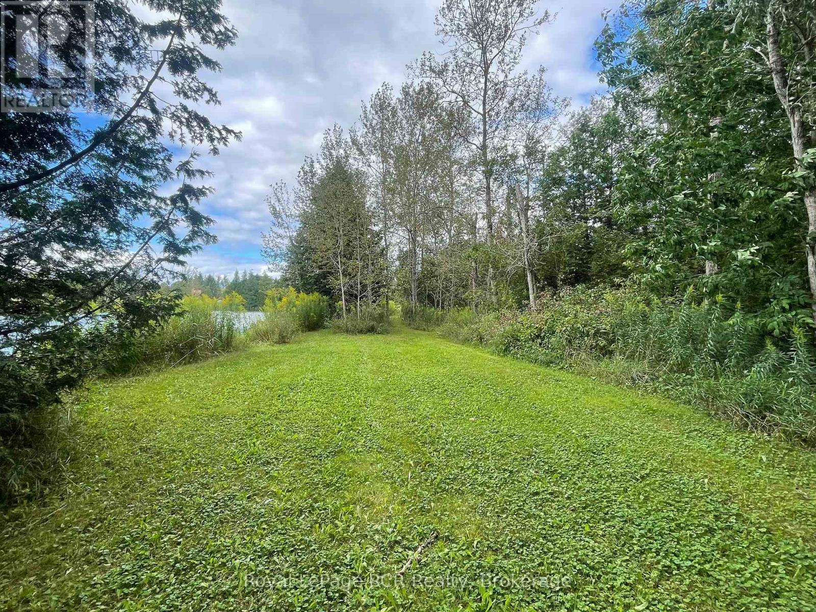 121 Collingwood Street, Grey Highlands, Ontario  N0C 1E0 - Photo 38 - X12891550