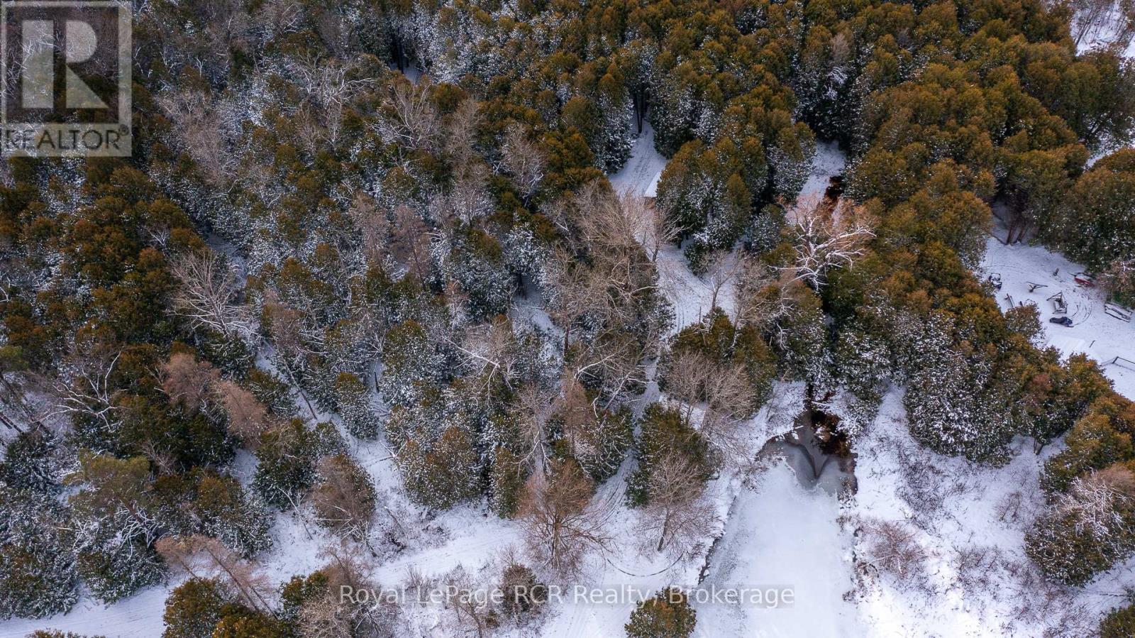 121 Collingwood Street, Grey Highlands, Ontario  N0C 1E0 - Photo 45 - X12891550