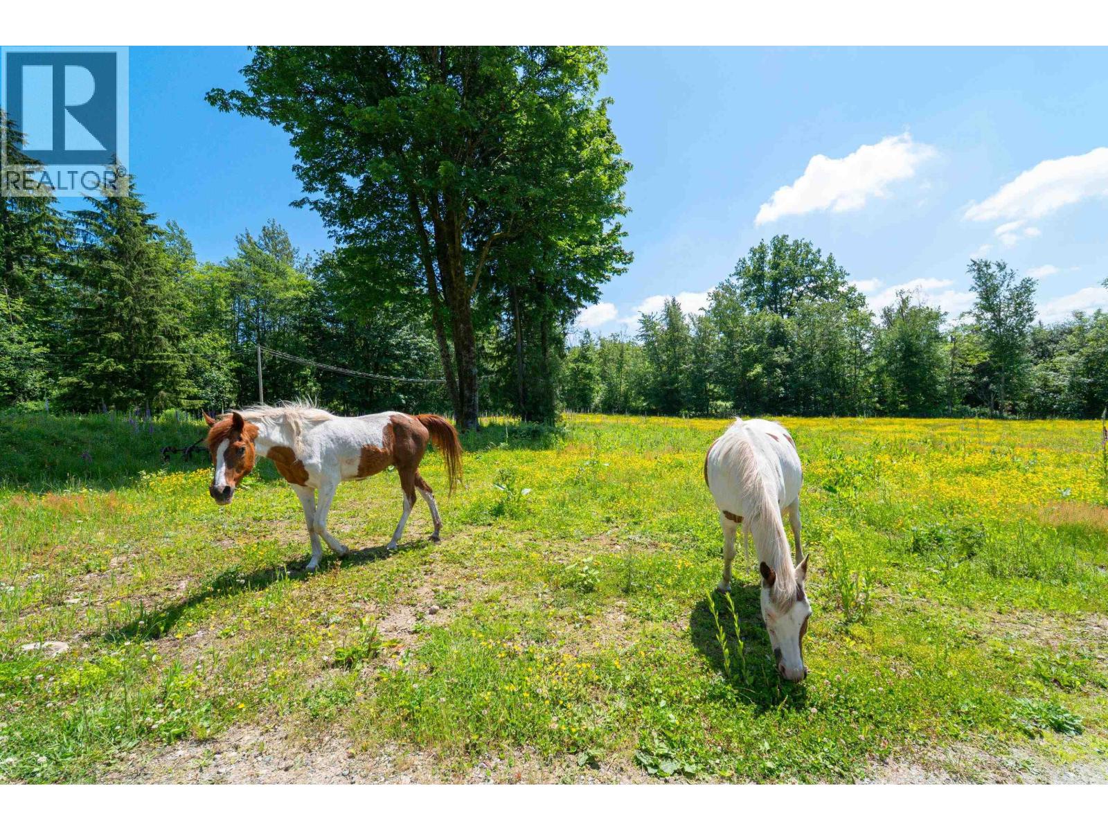 28555 104 Avenue, Maple Ridge, British Columbia V2W 1L5 - Photo 39 - R3106947