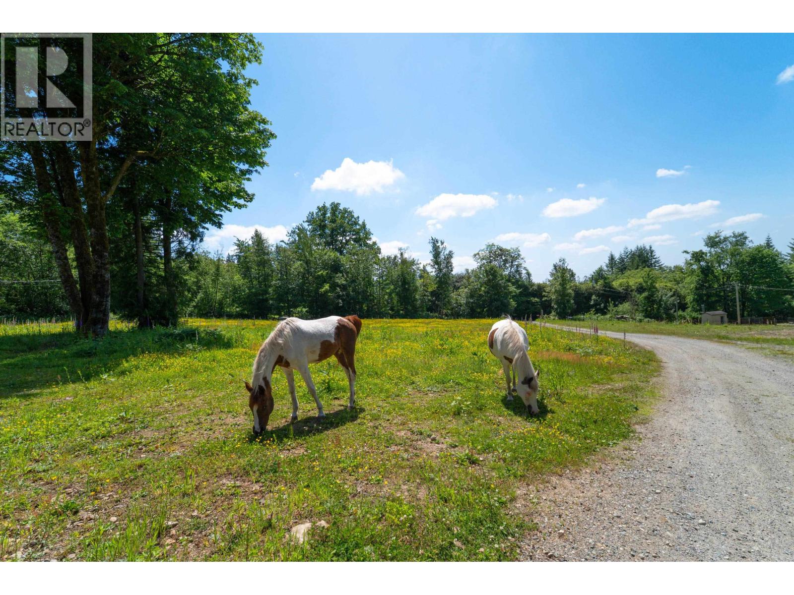 28555 104 Avenue, Maple Ridge, British Columbia V2W 1L5 - Photo 40 - R3106947