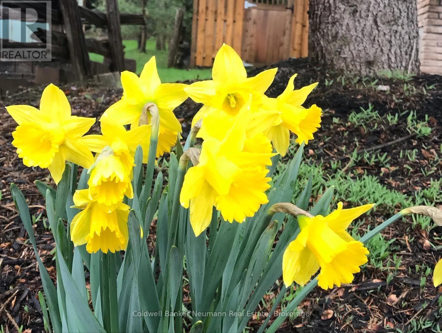 153 Harris Street, Guelph/eramosa, Ontario  N0B 2K0 - Photo 46 - X12952392