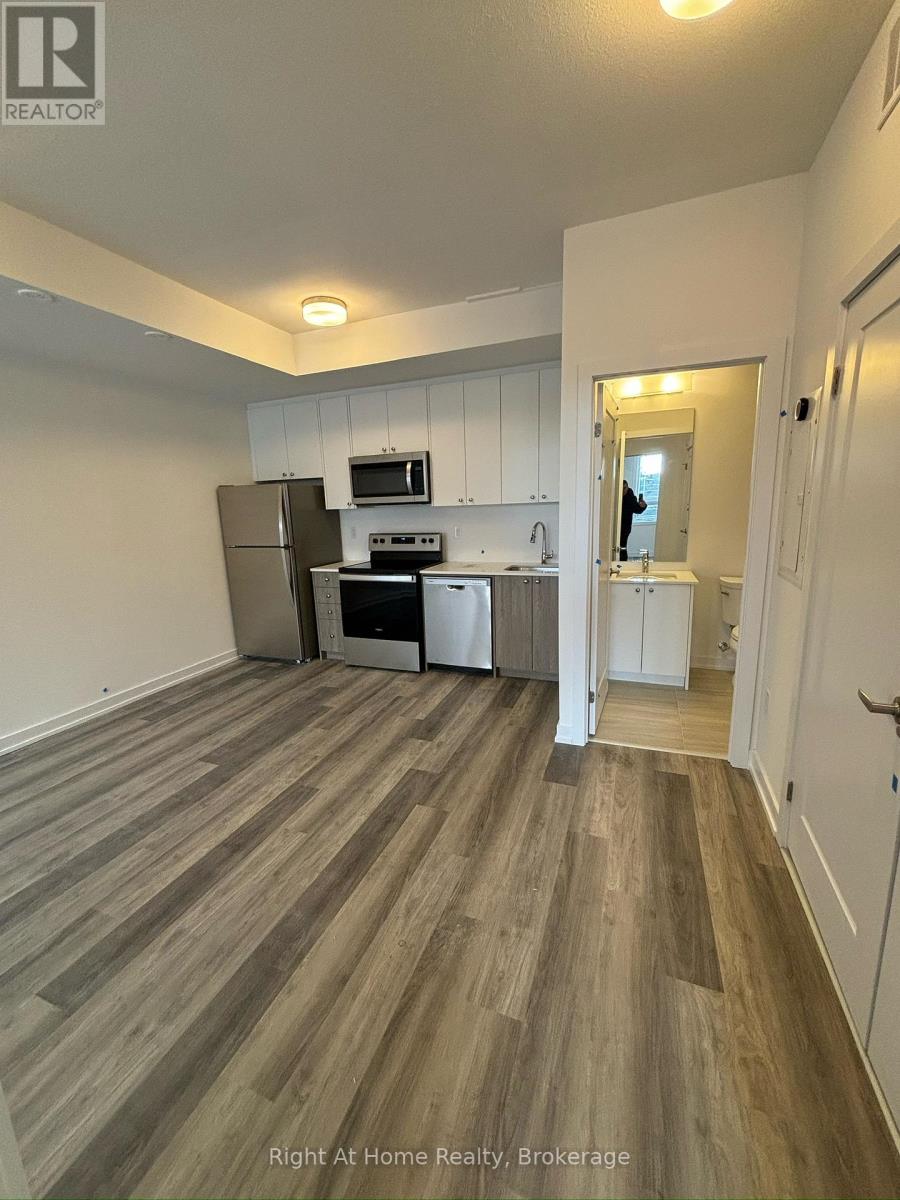 M17 - 40 Palace Street, Kitchener, Ontario  N2E 3Z4 - Photo 3 - X12957558