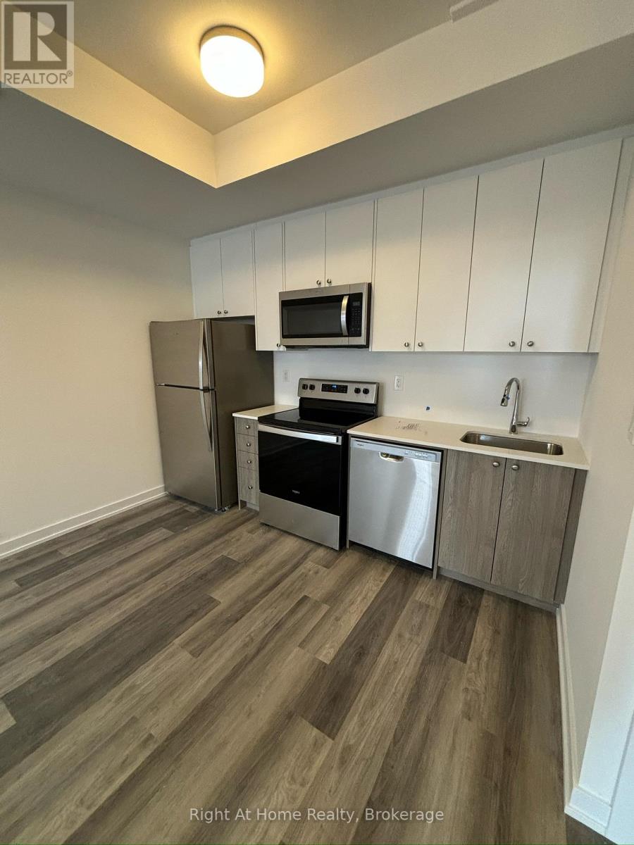 M17 - 40 Palace Street, Kitchener, Ontario  N2E 3Z4 - Photo 4 - X12957558