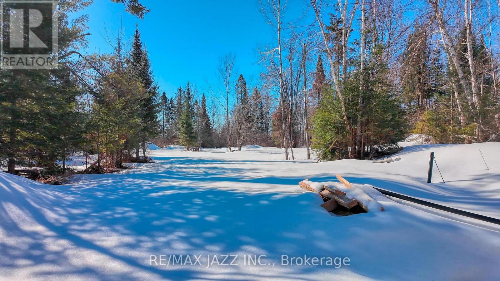 3338 Monck Road, Kawartha Lakes, Ontario  K0M 1K0 - Photo 17 - X12957584