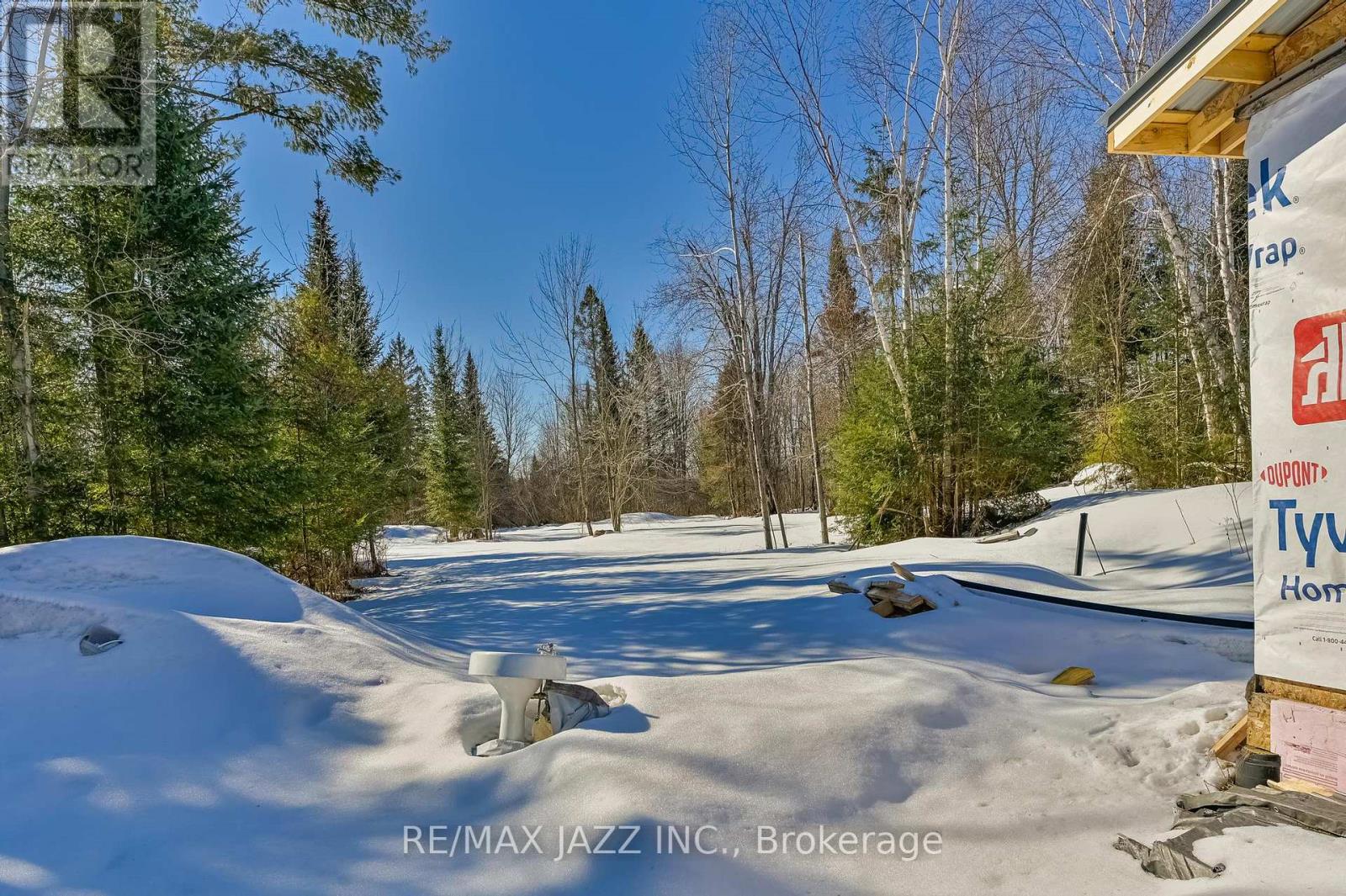 3338 Monck Road, Kawartha Lakes, Ontario  K0M 1K0 - Photo 6 - X12957584