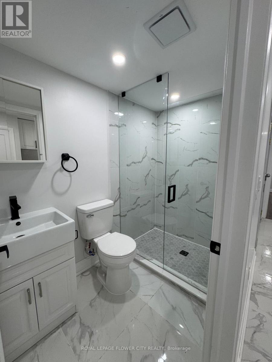 #bsmt - 414 Perth Avenue, Toronto, Ontario  M6P 3Y6 - Photo 5 - W12957648