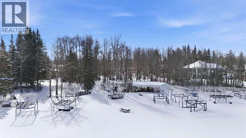 17 Hummingbird Lane, Half Moon Bay, Alberta  T4S 1S1 - Photo 40 - A2296188