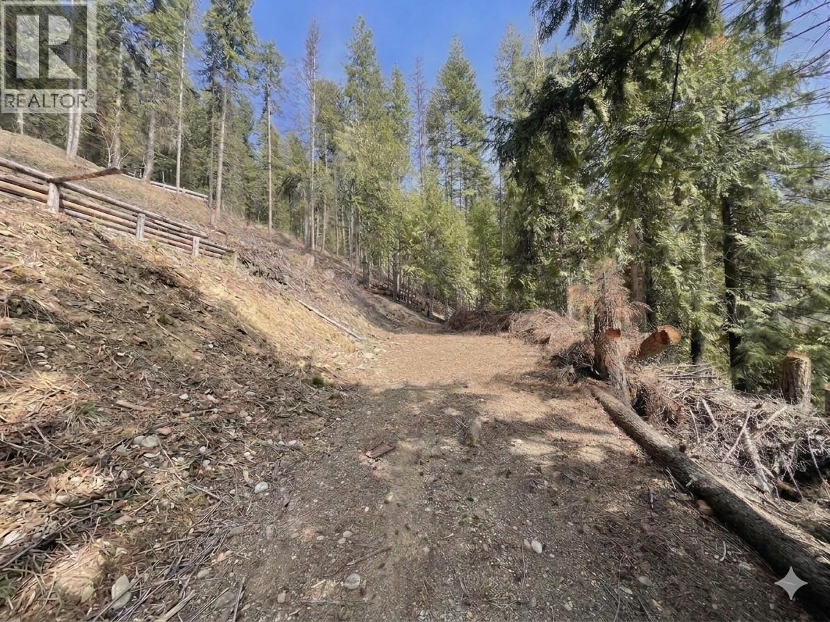 2401 Vickers Trail, Anglemont, British Columbia  V0E 1M8 - Photo 2 - 10378569