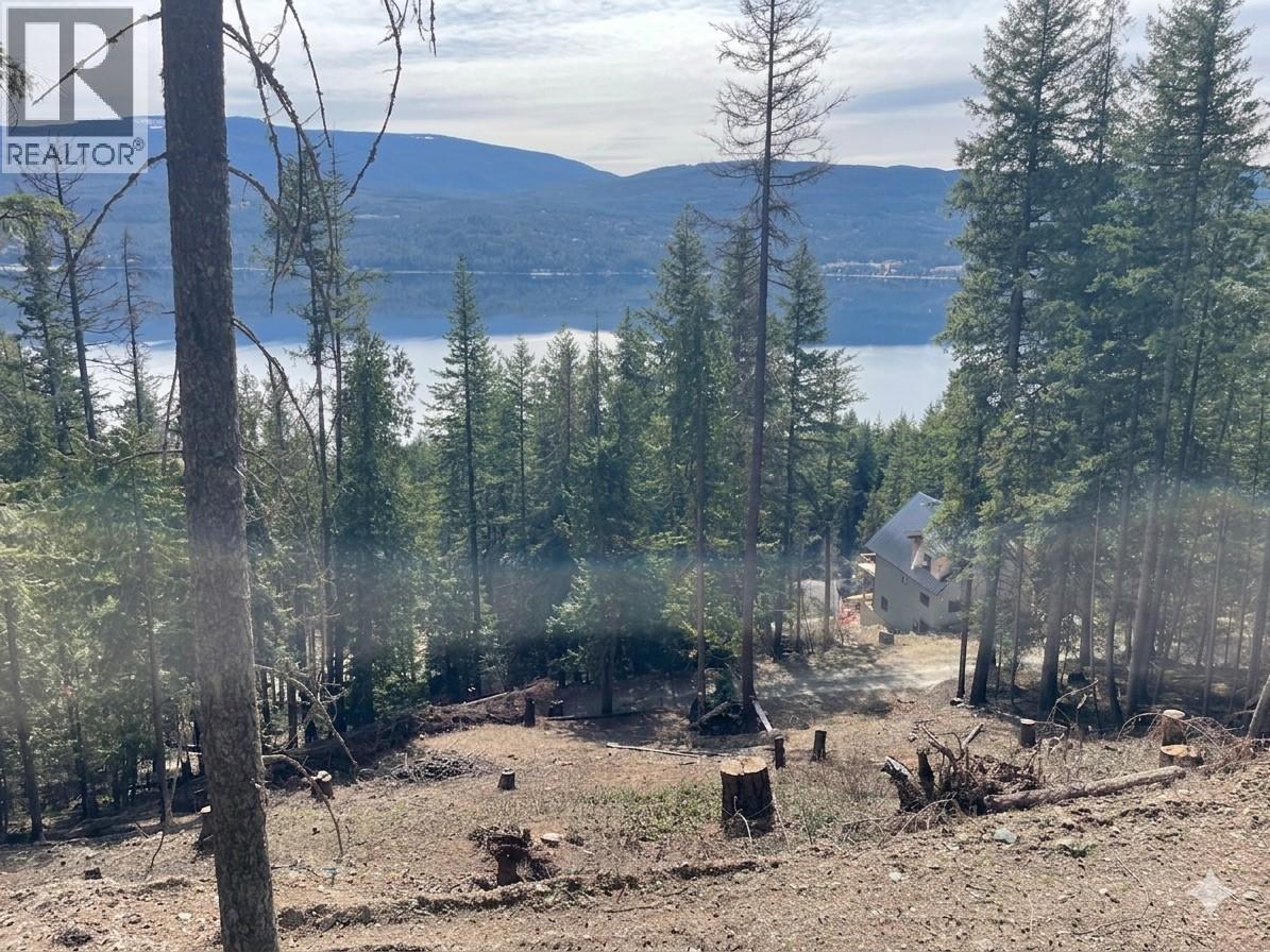 2401 Vickers Trail, Anglemont, British Columbia