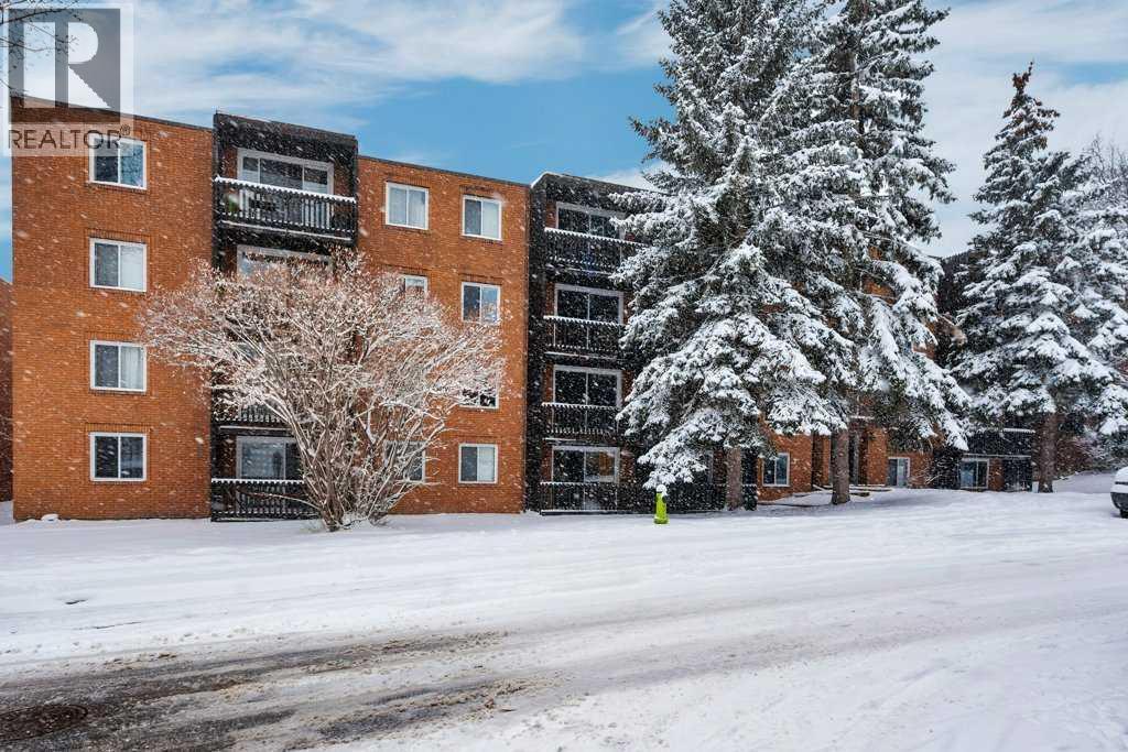 206, 507 57 Avenue SW, Calgary, Alberta  T2Y 0H2 - Photo 3 - A2297218