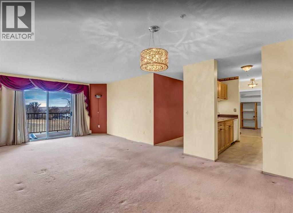 #410, 245 Red Deer Drive Sw, Medicine Hat, Alberta  T1A 8P4 - Photo 19 - A2297074