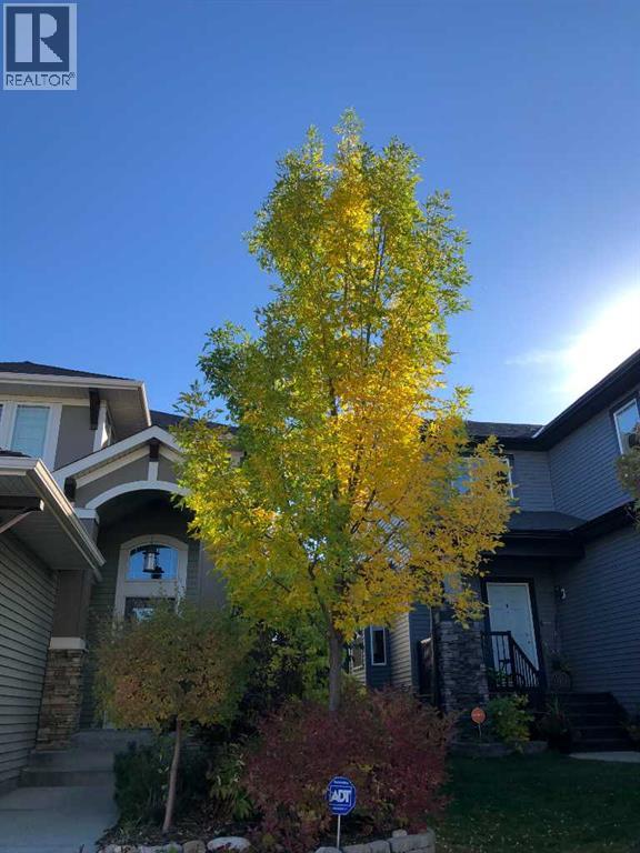 280 Coopers Hill Sw, Airdrie, Alberta  T4B 0R9 - Photo 44 - A2290498