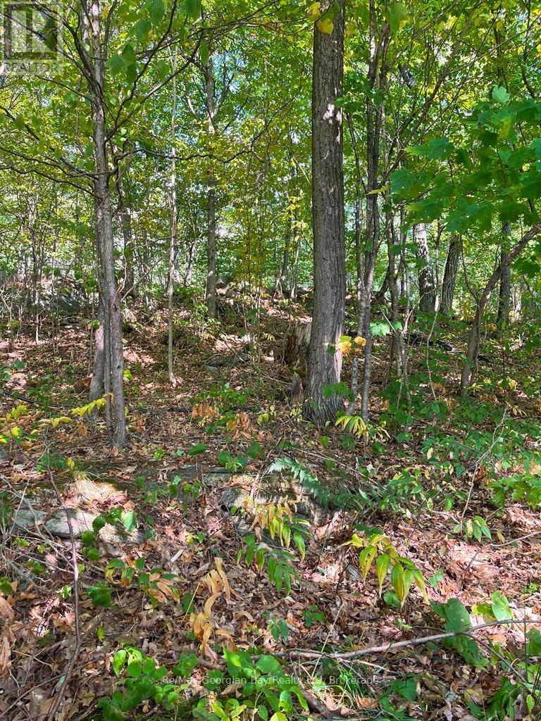 4sr406 Severn River Route, Muskoka Lakes, Ontario  L0K 1E0 - Photo 39 - X12957944