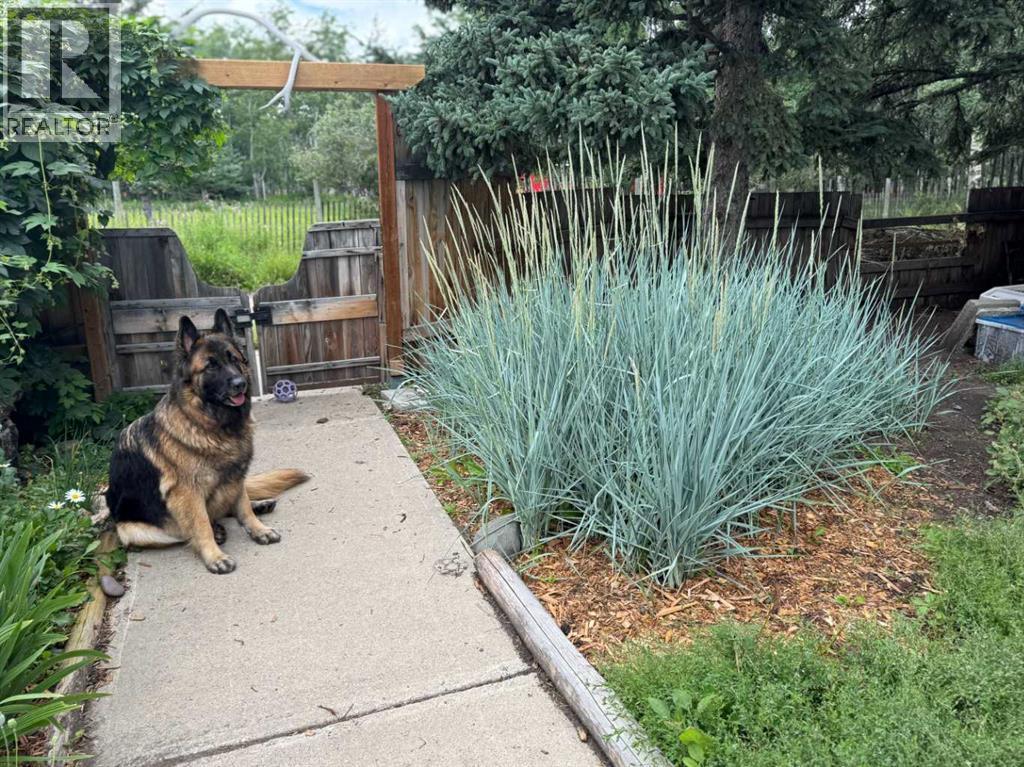 614 Main Street, Diamond Valley, Alberta  T0L 2A0 - Photo 35 - A2299087