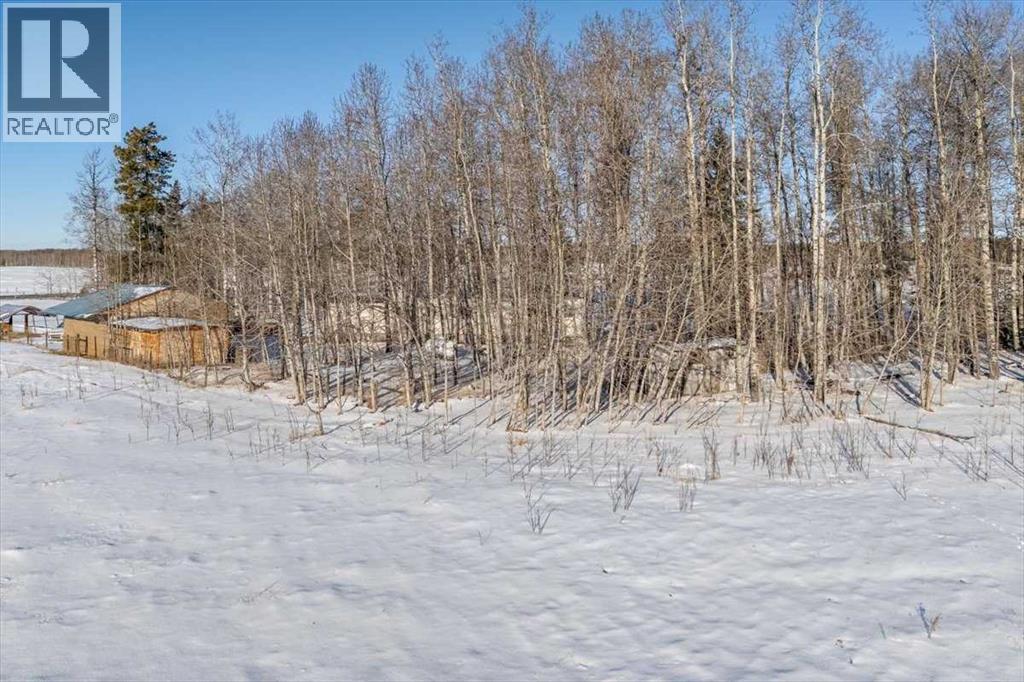 344019 22 Highway, Rural Clearwater County, Alberta  T0M 1C0 - Photo 38 - A2277736