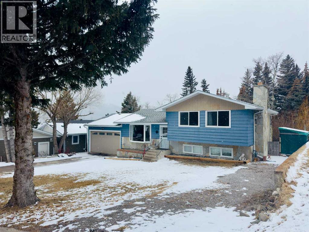 2802 77 Street, Coleman, Alberta  T0K 0M0 - Photo 2 - A2299119