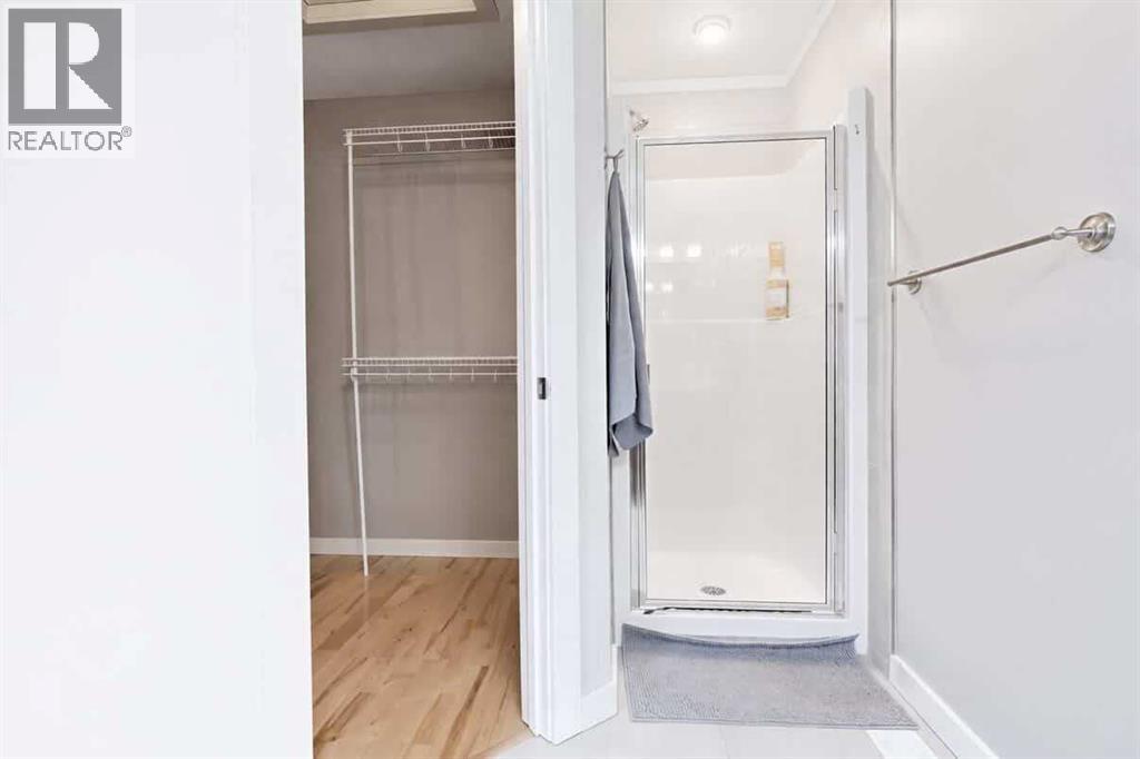 223 Copperfield Green, Calgary, Alberta  T2Z 4T9 - Photo 28 - A2295291