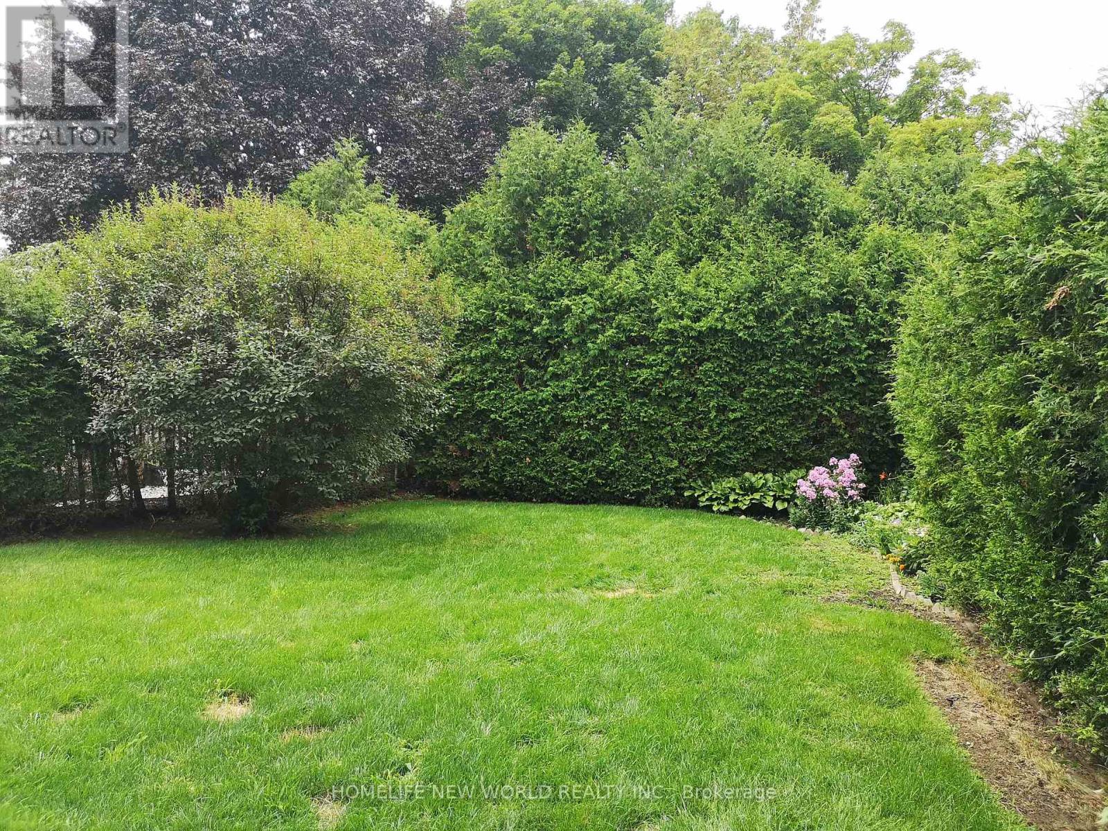 Bsmt - 8 Janus Court, Toronto, Ontario  M2H 1S4 - Photo 2 - C12958118