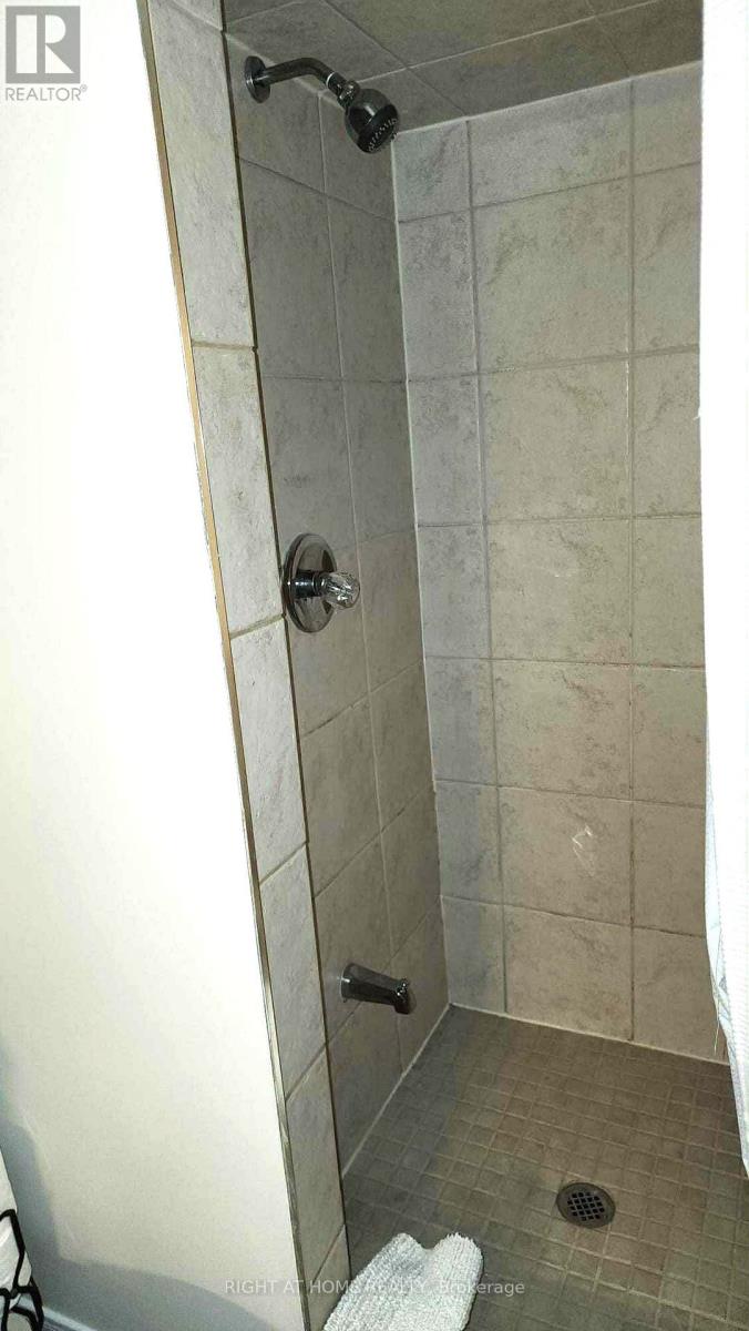 Basement - 44 Meadowlands Boulevard, Hamilton, Ontario  L9K 1H8 - Photo 17 - X12448558