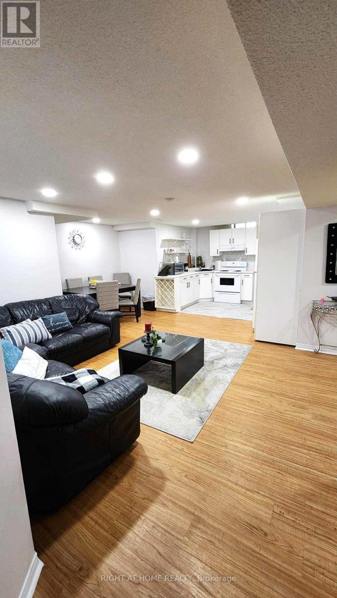 Basement - 44 Meadowlands Boulevard, Hamilton, Ontario  L9K 1H8 - Photo 8 - X12448558