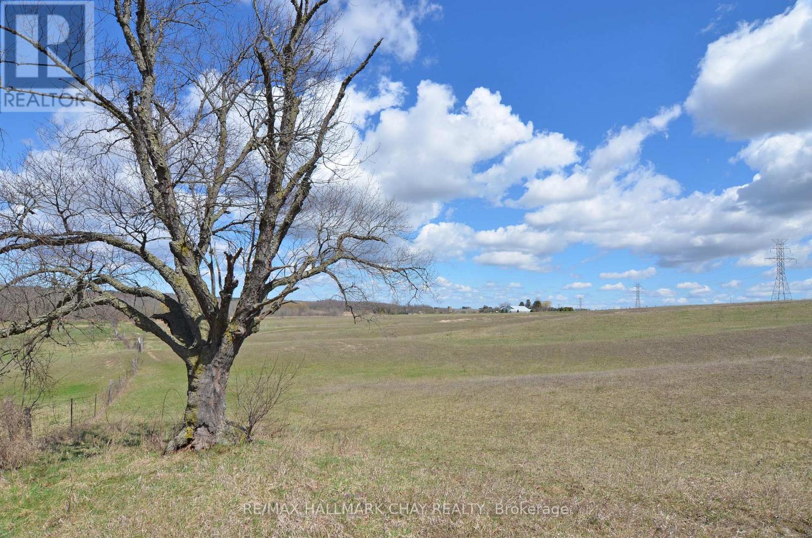 6280 County Rd 15, Adjala-Tosorontio, Ontario  L0M 1J0 - Photo 41 - N12958198