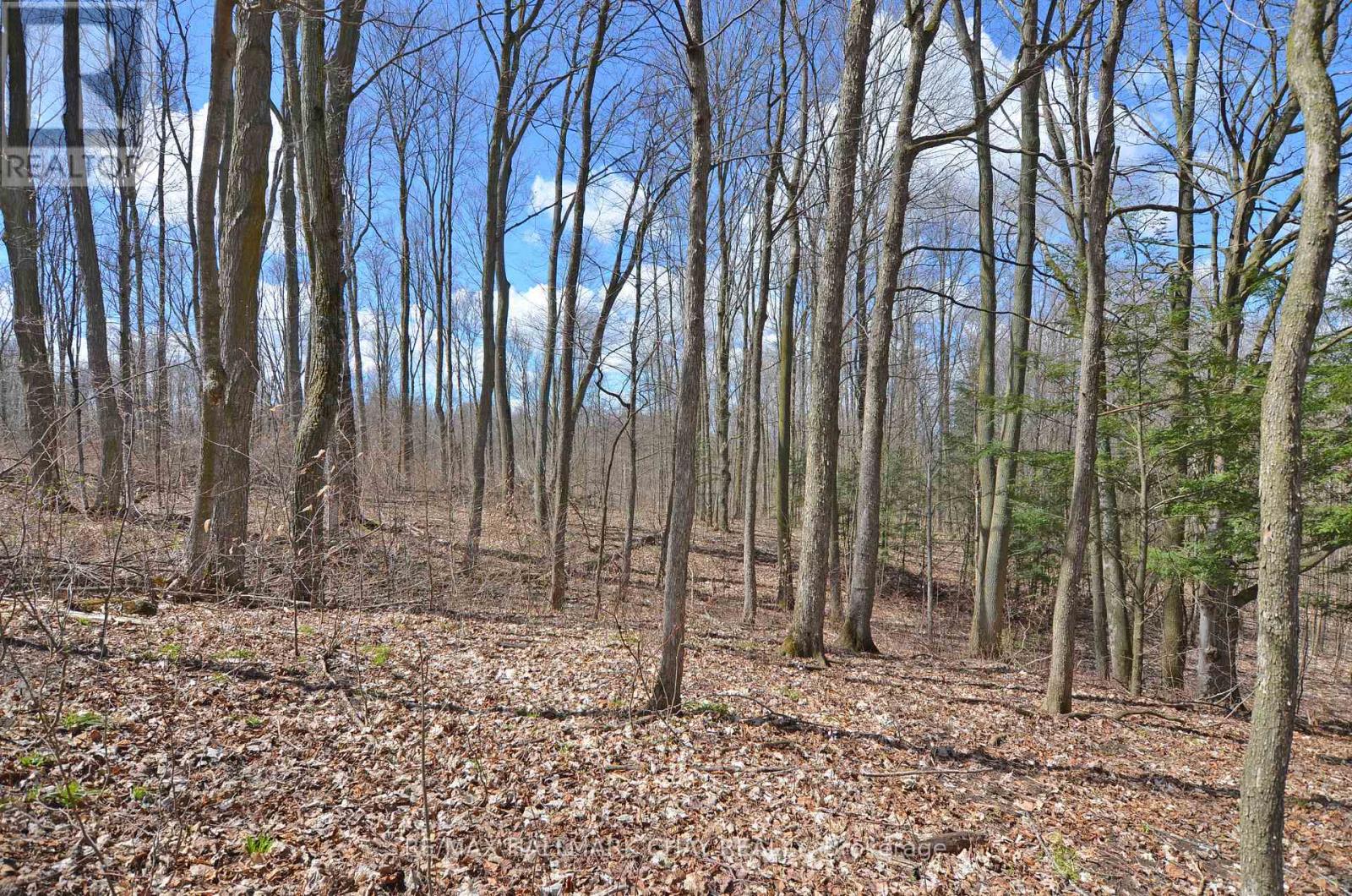 6280 County Rd 15, Adjala-Tosorontio, Ontario  L0M 1J0 - Photo 42 - N12958198