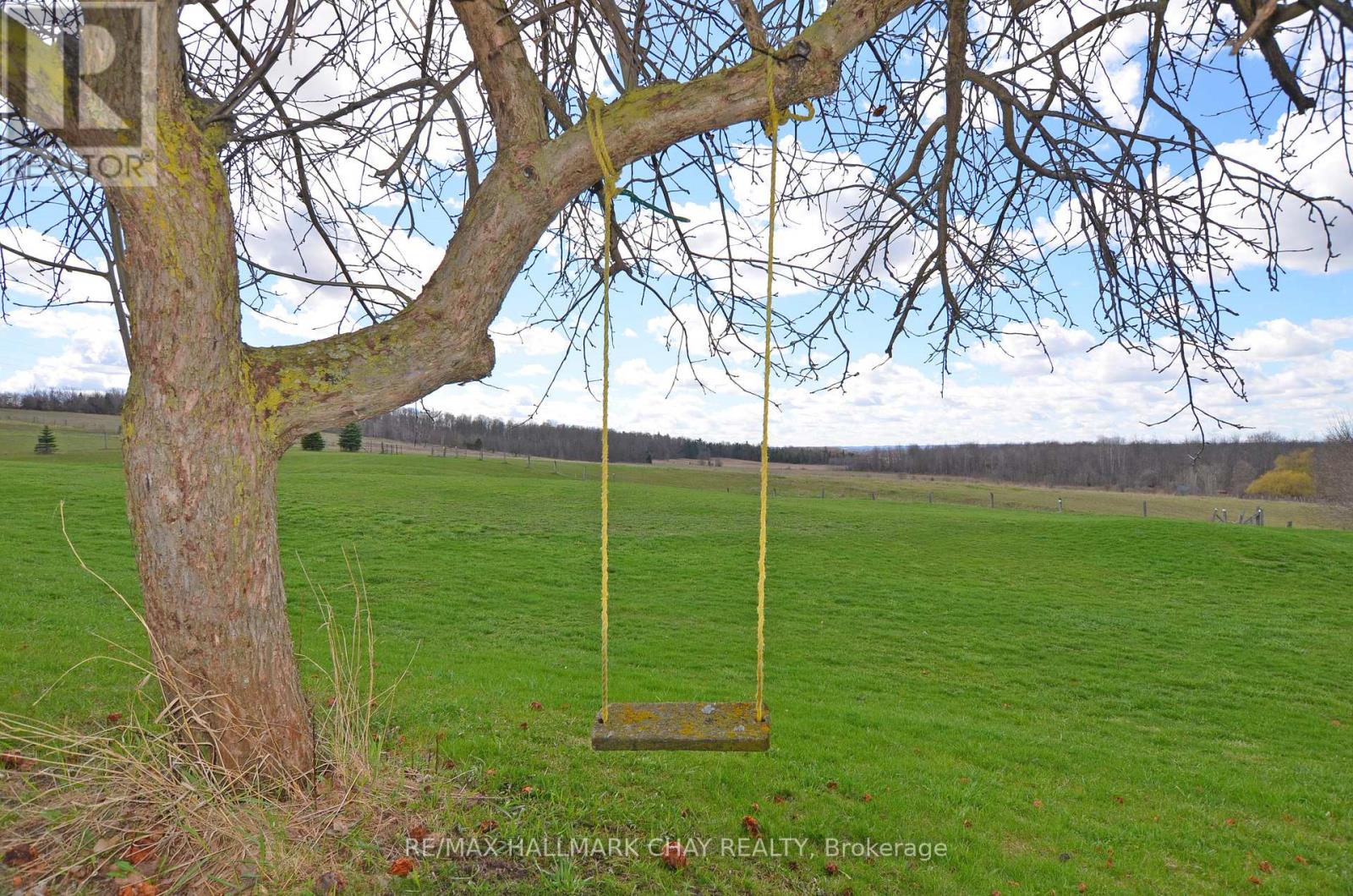 6280 County Rd 15, Adjala-Tosorontio, Ontario  L0M 1J0 - Photo 44 - N12958198