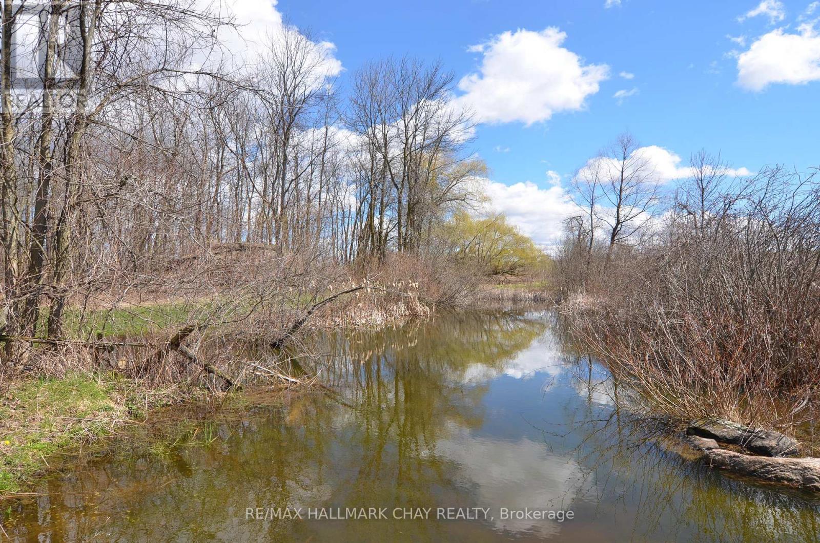6280 County Rd 15, Adjala-Tosorontio, Ontario  L0M 1J0 - Photo 13 - N12958218