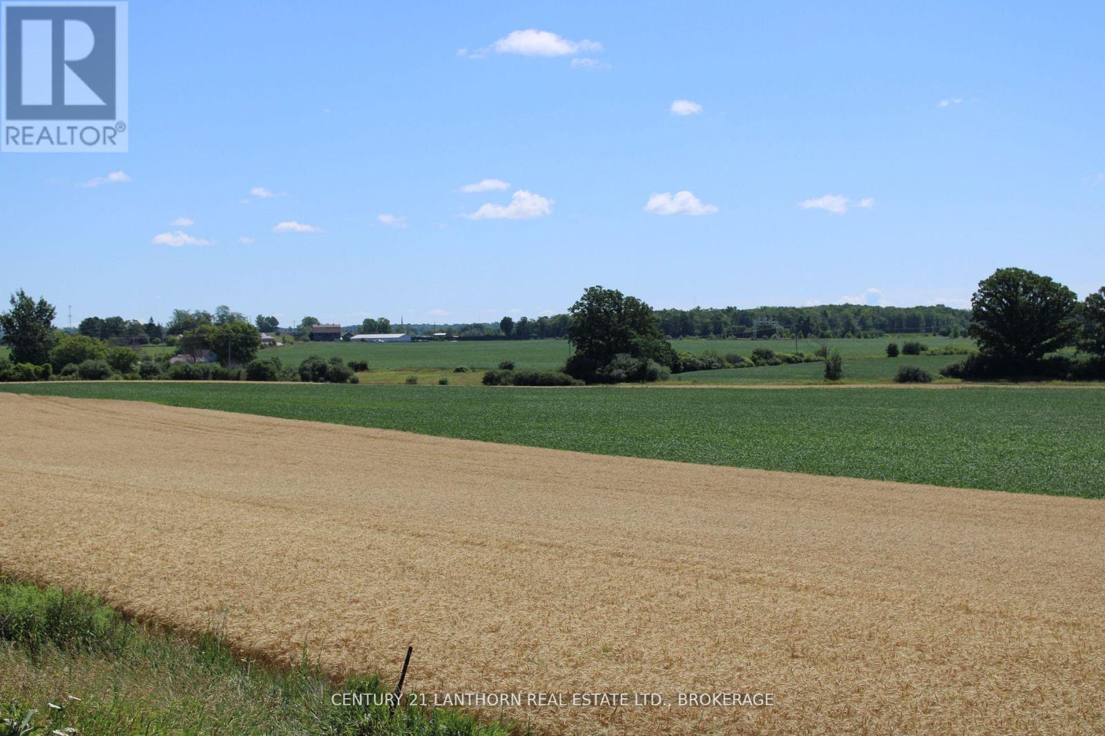 Lt15-16 County Road 1 W, Greater Napanee, Ontario  K7R 3L1 - Photo 7 - X12958254