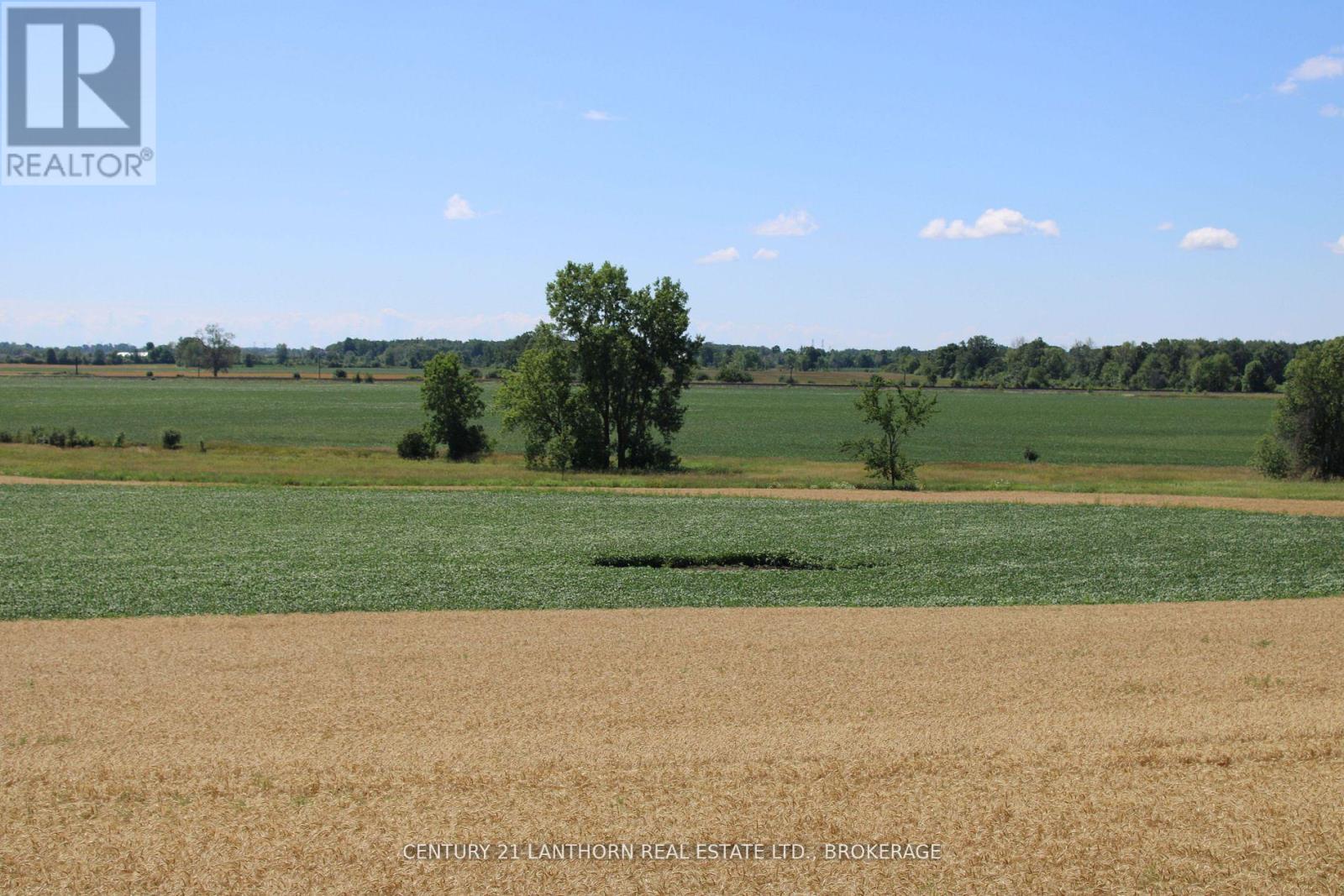 Lt15-16 County Road 1 W, Greater Napanee, Ontario  K7R 3L1 - Photo 4 - X12958256