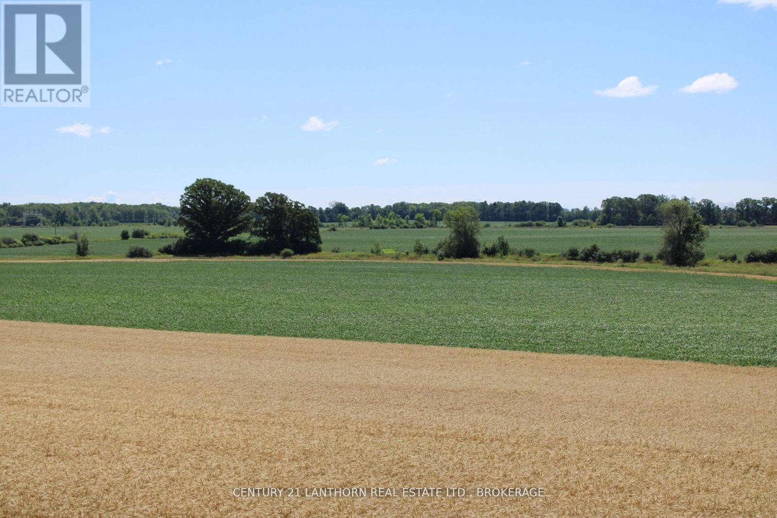 Lt15-16 County Road 1 W, Greater Napanee, Ontario  K7R 3L1 - Photo 5 - X12958256