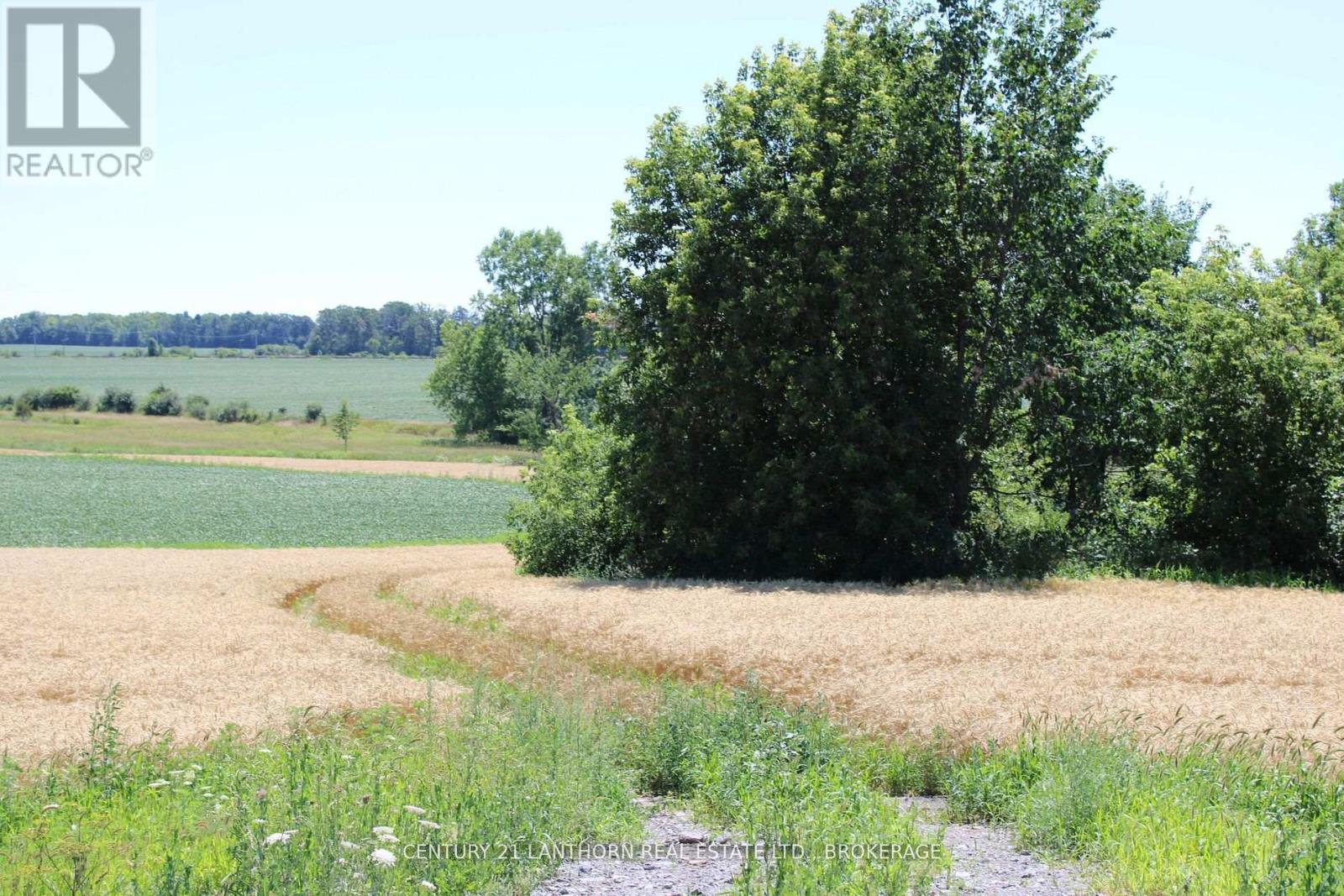 Lt15-16 County Road 1 W, Greater Napanee, Ontario  K7R 3L1 - Photo 8 - X12958256