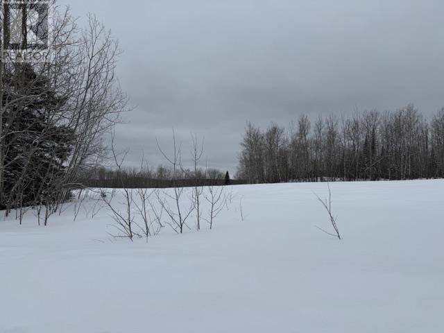 Lot 15 Part 3 Lynn Rd, Oliver Paipoonge, Ontario  P0T 2G0 - Photo 3 - TB2600614