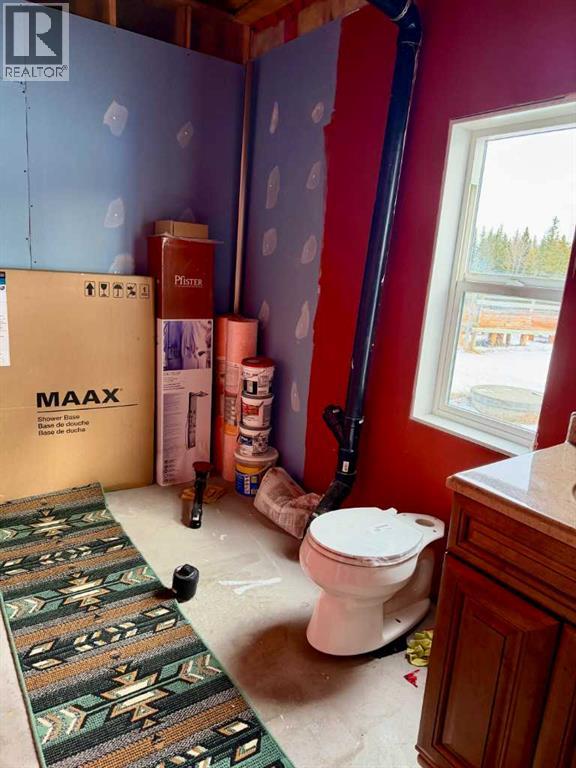 55111 Range Road 160a, Edson, Alberta  T7E 3P5 - Photo 26 - A2299120