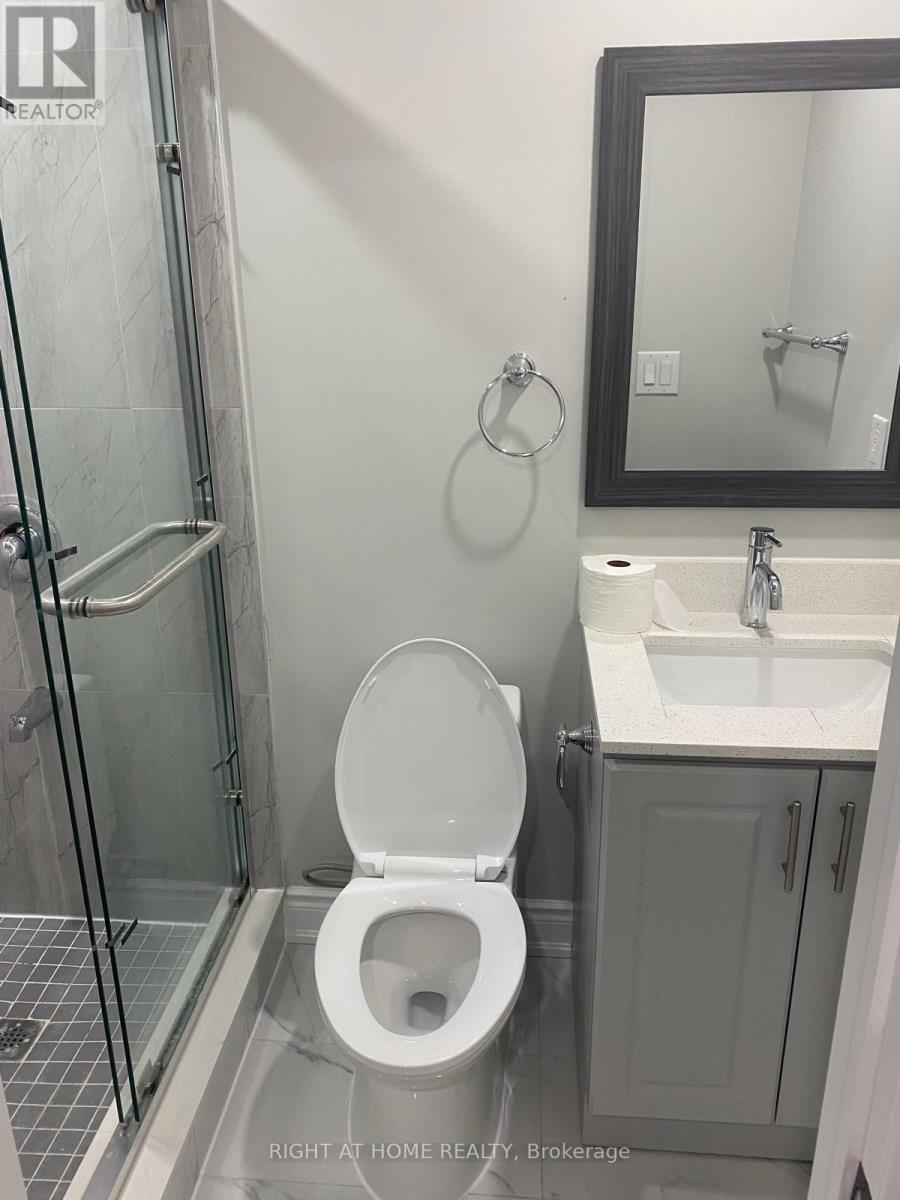 Basement - 409 Comiskey Crescent, Mississauga, Ontario  L5W 0C6 - Photo 21 - W12958390