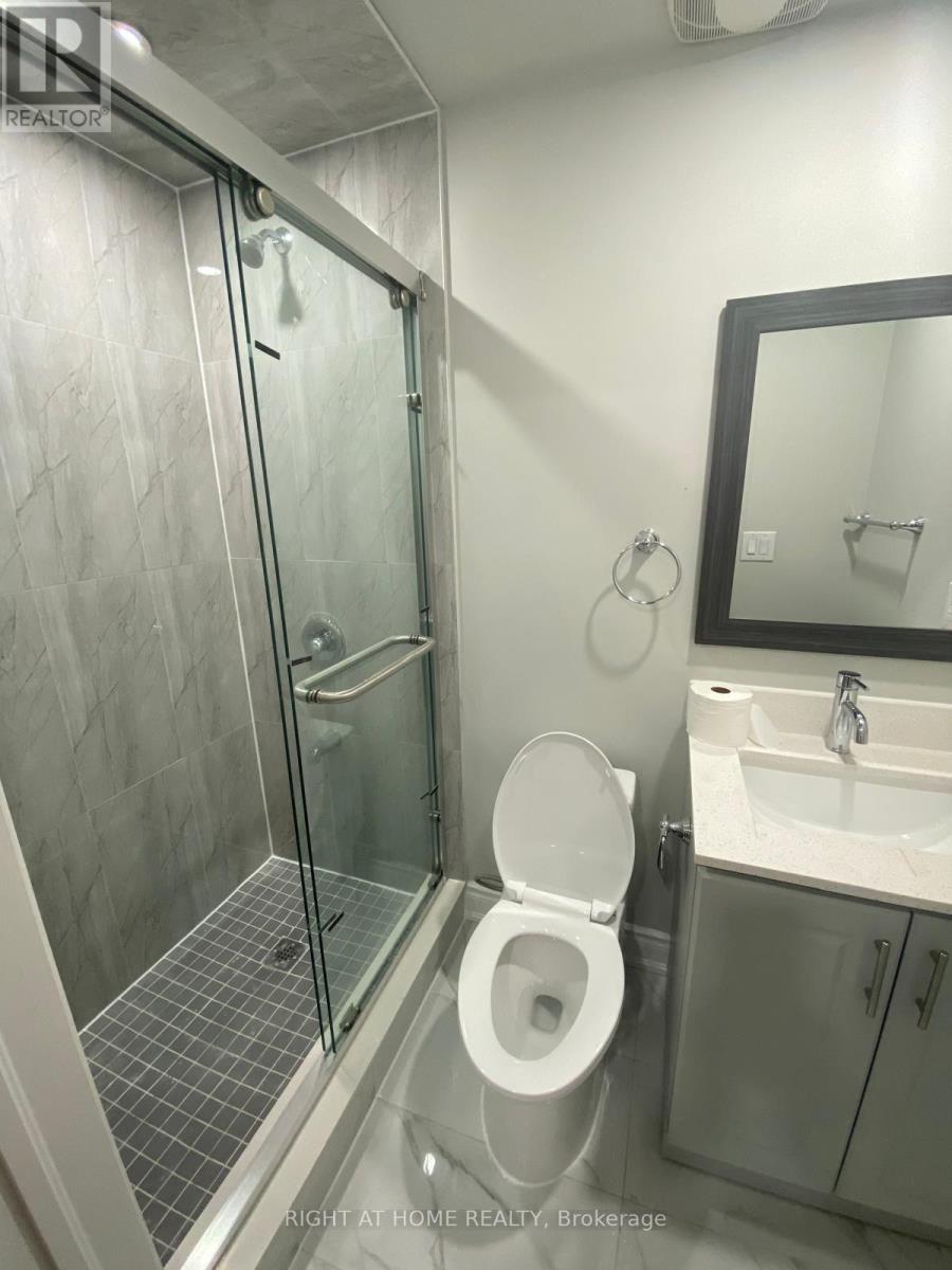 Basement - 409 Comiskey Crescent, Mississauga, Ontario  L5W 0C6 - Photo 22 - W12958390